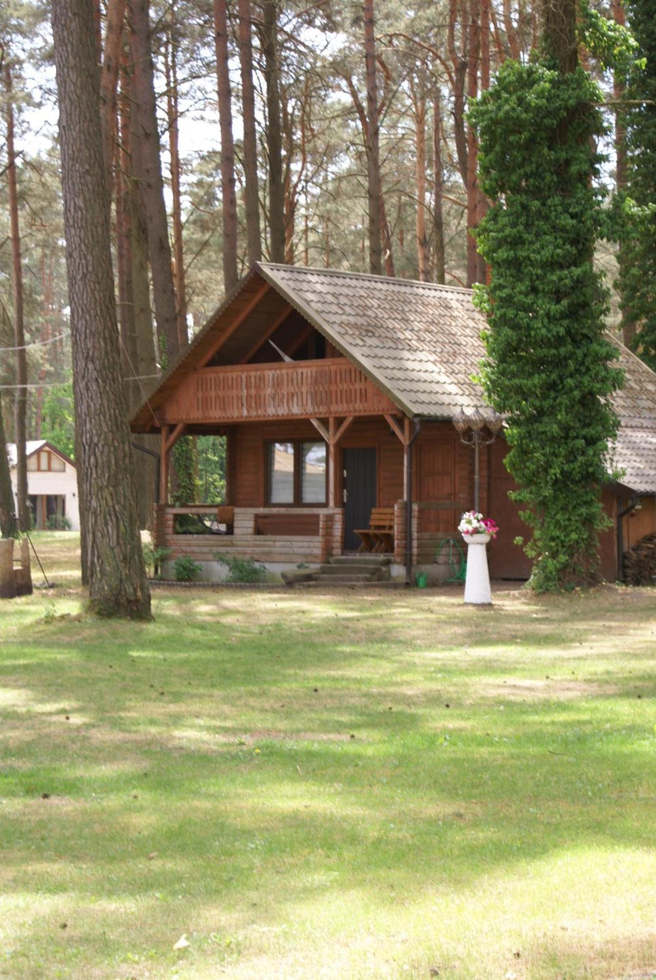 Mazurski Osrodek Szych Bogusze Dış mekan fotoğraf